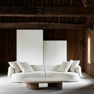 FAO-SOFA-DOUBLE-C-DELCOURT-LADY-R-COFFEE-TABLE-LUCA-ERBA_COLLECTION-PARTICULIERE